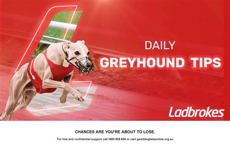 ladbrokes live greyhound commentary|Daily Greyhound Tips .